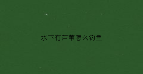 水下有芦苇怎么钓鱼(水下芦苇怎么收割)