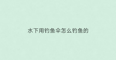 “水下用钓鱼伞怎么钓鱼的(钓鱼伞有用吗)