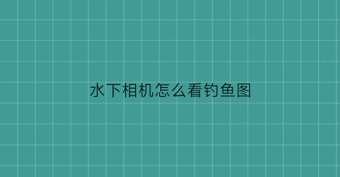 “水下相机怎么看钓鱼图(水下相机是什么意思)