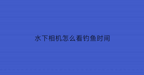 “水下相机怎么看钓鱼时间(水下摄影相机)