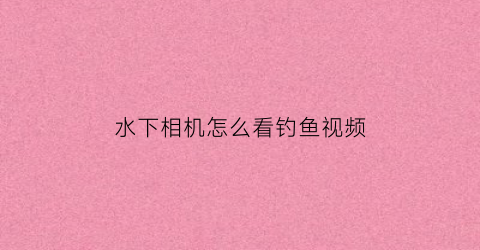水下相机怎么看钓鱼视频(水下相机怎么用)