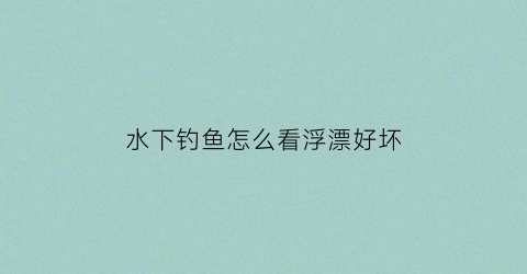 “水下钓鱼怎么看浮漂好坏(水下钓鱼怎么看浮漂好坏视频)