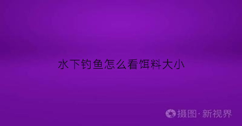 水下钓鱼怎么看饵料大小(水下鱼吃饵视频)