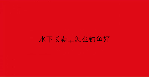 水下长满草怎么钓鱼好(水下都是草怎么钓)