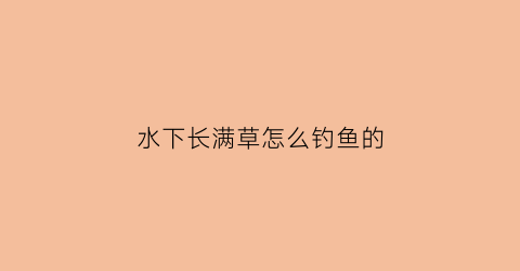 水下长满草怎么钓鱼的