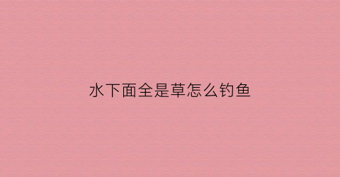 水下面全是草怎么钓鱼(野钓水下有草怎么钓)