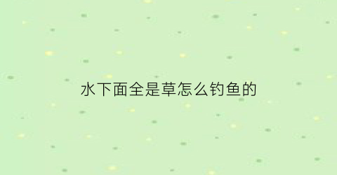 水下面全是草怎么钓鱼的(水下面有草怎么钓鱼)