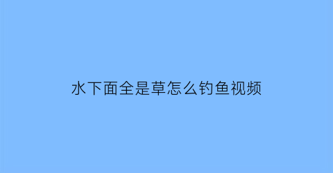 “水下面全是草怎么钓鱼视频(水下面全是草怎么钓鱼视频)