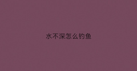 水不深怎么钓鱼(水深不好钓鱼)
