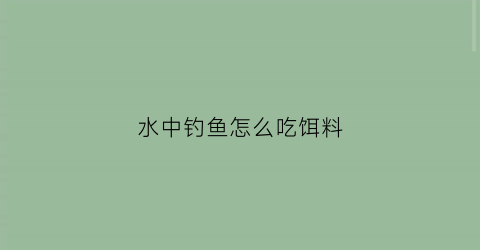 水中钓鱼怎么吃饵料(钓鱼鱼在水下吃饵视频)