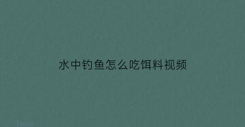 “水中钓鱼怎么吃饵料视频(水中钓鱼怎么吃饵料视频讲解)