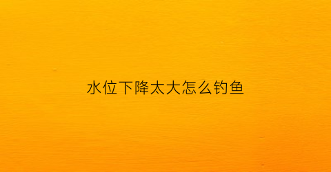 水位下降太大怎么钓鱼(野钓水位下降咋钓鱼)