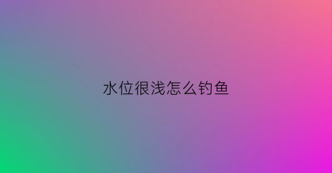 水位很浅怎么钓鱼(水位很浅怎么钓鱼视频)