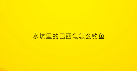 “水坑里的巴西龟怎么钓鱼(钓到巴西龟吉利吗)