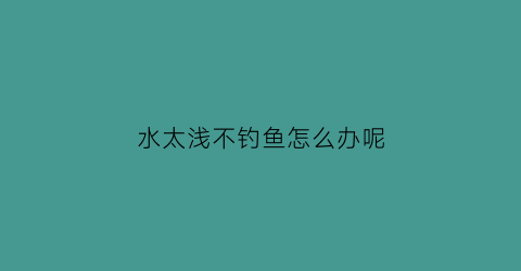 “水太浅不钓鱼怎么办呢(水太浅不钓鱼怎么办呢视频)