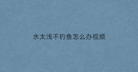 水太浅不钓鱼怎么办视频(水太浅鱼不咬钩怎么办)
