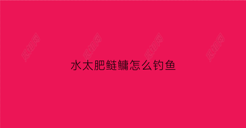 “水太肥鲢鳙怎么钓鱼(水太肥鲢鳙不开口怎么钓)