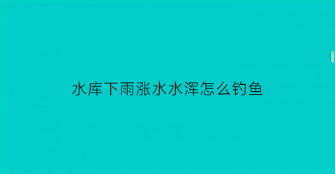 “水库下雨涨水水浑怎么钓鱼(水库下雨涨水是不是不好钓鱼)