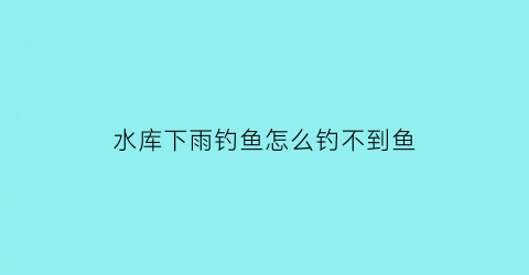 水库下雨钓鱼怎么钓不到鱼(水库下雨天怎么钓鱼)