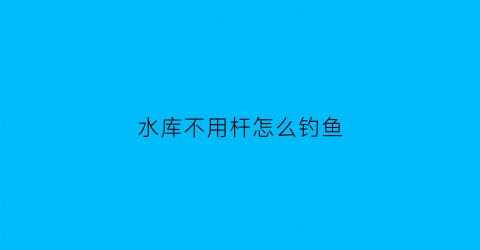 水库不用杆怎么钓鱼(水库钓鱼不打窝能钓到鱼吗)