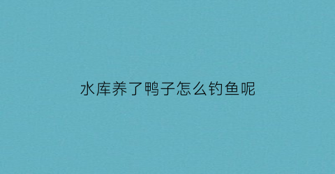 “水库养了鸭子怎么钓鱼呢(水库养鸭子有什么法律约束)