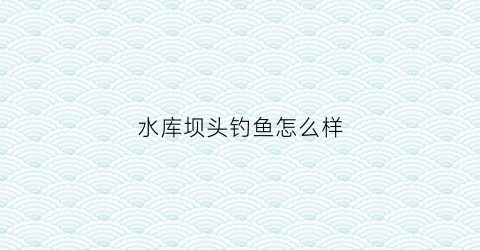 “水库坝头钓鱼怎么样(水库钓坝头还是坝尾好)