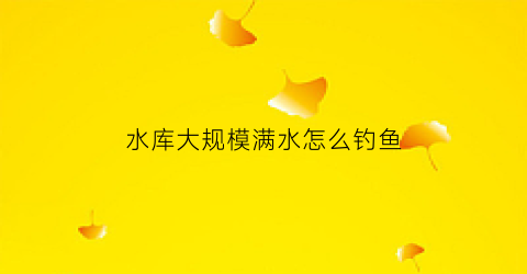 水库大规模满水怎么钓鱼(大型水库钓鱼技巧)