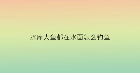 “水库大鱼都在水面怎么钓鱼(水库的大鱼在哪里)