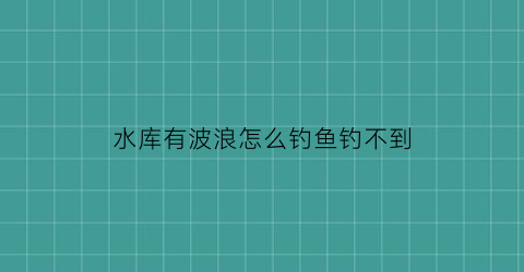 “水库有波浪怎么钓鱼钓不到(水库有波浪怎么钓鱼钓不到鱼)