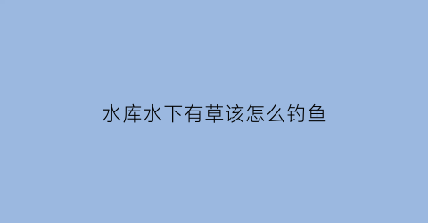 水库水下有草该怎么钓鱼(水库水底有草怎么钓)