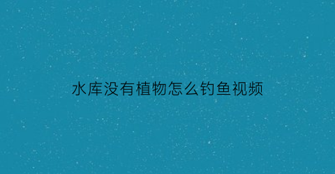 水库没有植物怎么钓鱼视频