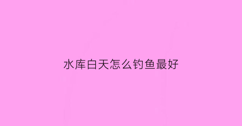 水库白天怎么钓鱼最好(水库夜钓好还是白天钓好)