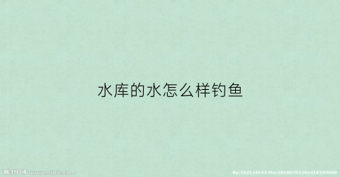 水库的水怎么样钓鱼(水库的水怎么样钓鱼好)