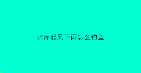 水库起风下雨怎么钓鱼(水库刮大风怎么钓鱼)