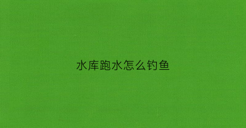 水库跑水怎么钓鱼(水库跑铅钓法技巧)