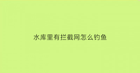 水库里有拦截网怎么钓鱼