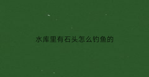 水库里有石头怎么钓鱼的