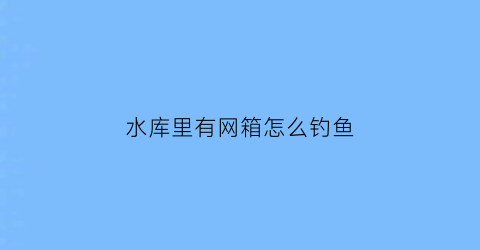 水库里有网箱怎么钓鱼