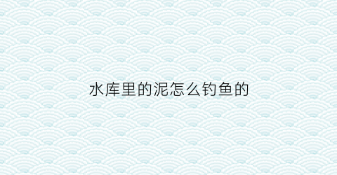 水库里的泥怎么钓鱼的(水库里的淤泥怎么排出)