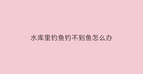 水库里钓鱼钓不到鱼怎么办