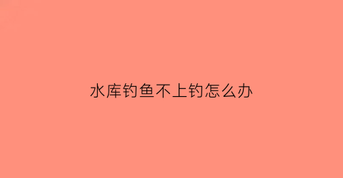 水库钓鱼不上钓怎么办