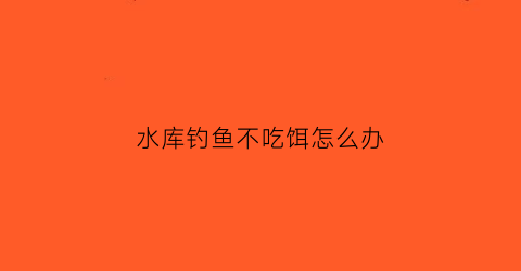 水库钓鱼不吃饵怎么办(水库钓鱼不吃饵怎么办呀)