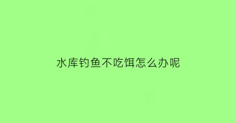“水库钓鱼不吃饵怎么办呢(水库钓不上鱼)