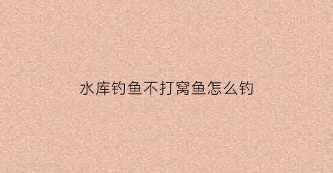 水库钓鱼不打窝鱼怎么钓(水库钓鱼不打窝鱼怎么钓的)