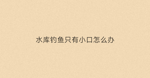 水库钓鱼只有小口怎么办(水库野钓没口怎么回事)