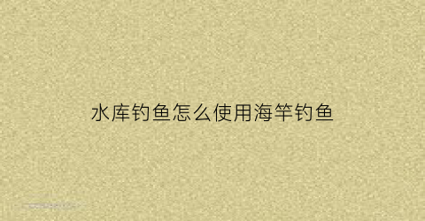 “水库钓鱼怎么使用海竿钓鱼(在水库用海竿钓鱼用什么饵最适合)