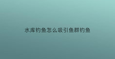 水库钓鱼怎么吸引鱼群钓鱼(水库钓鱼小技巧)