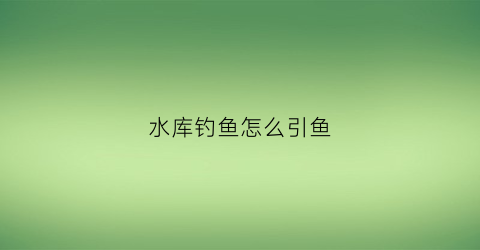 水库钓鱼怎么引鱼(水库钓鱼怎么引鱼最好)