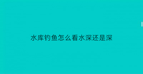 水库钓鱼怎么看水深还是深(怎么看水库水位)