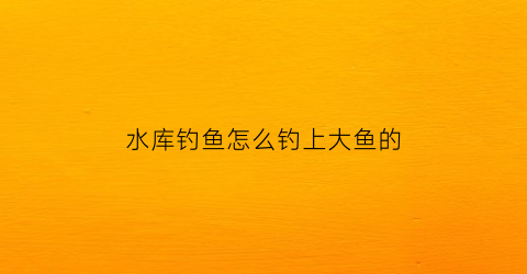 “水库钓鱼怎么钓上大鱼的(水库钓鱼怎么钓上大鱼的视频)